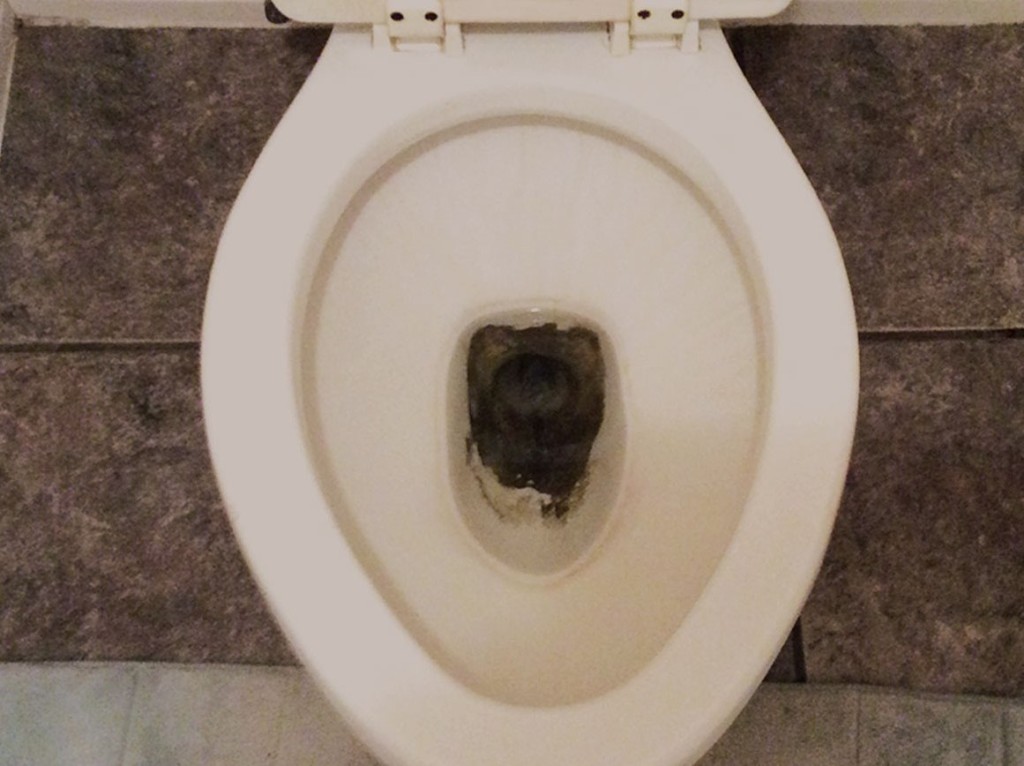 How To Get Stains From Bottom Of Toilet Bowl at Darrell Steel blog