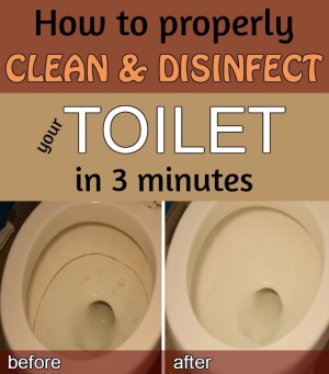 How to properly clean and disinfect your toilet in 3 minutes (VIDEO ...