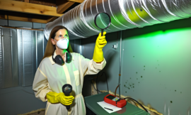 Detecting Mold in Your HVAC System: What You Should Know in 2024