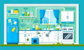 Top Causes of Mold in the Kitchen and How to Address Them