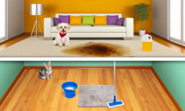 How to Clean Pet Stains from Carpets and Hard Floors: A Comprehensive Guide